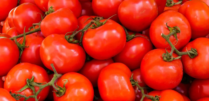tomate tomate