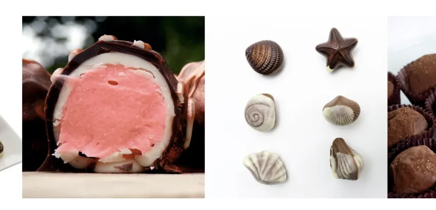 chocolate chocolate