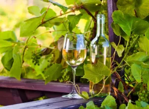 Vino blanco, 13 mitos y propiedades