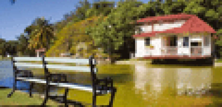 Parque Josone: un remanso para amantes Parque Josone: un remanso para amantes