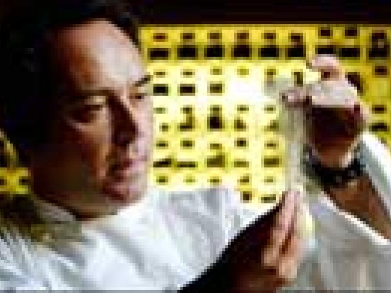 Un alemán prueba la gastronomía molecular y pierde sus dos manos