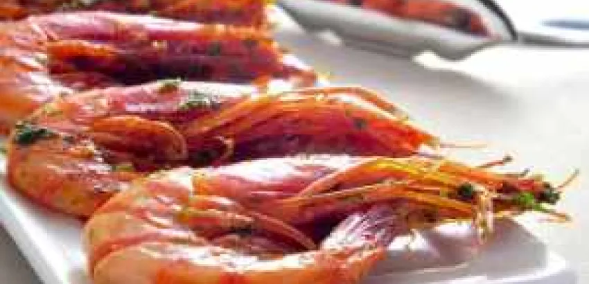 Calamares, langostinos, sardinas. Tres recetas fáciles, ideales para disfrutar Calamares, langostinos, sardinas. Tres recetas fáciles, ideales para disfrutar