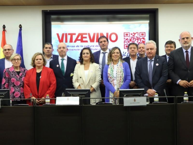 Presentación de la campaña Vitaevino