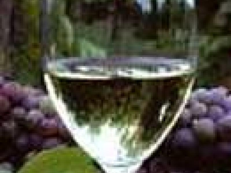 Vinos y Comida Gourmet desde el Suroeste de Francia