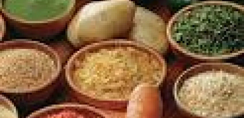 Importancia fisiológica de las especias Importancia fisiológica de las especias