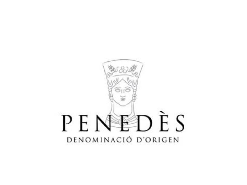 concurso DO Penedés