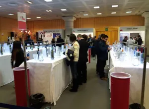Enofusión, la expresión del vino