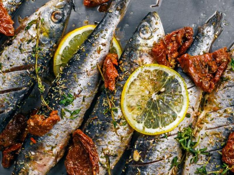 Capital española de gastronomía 2025