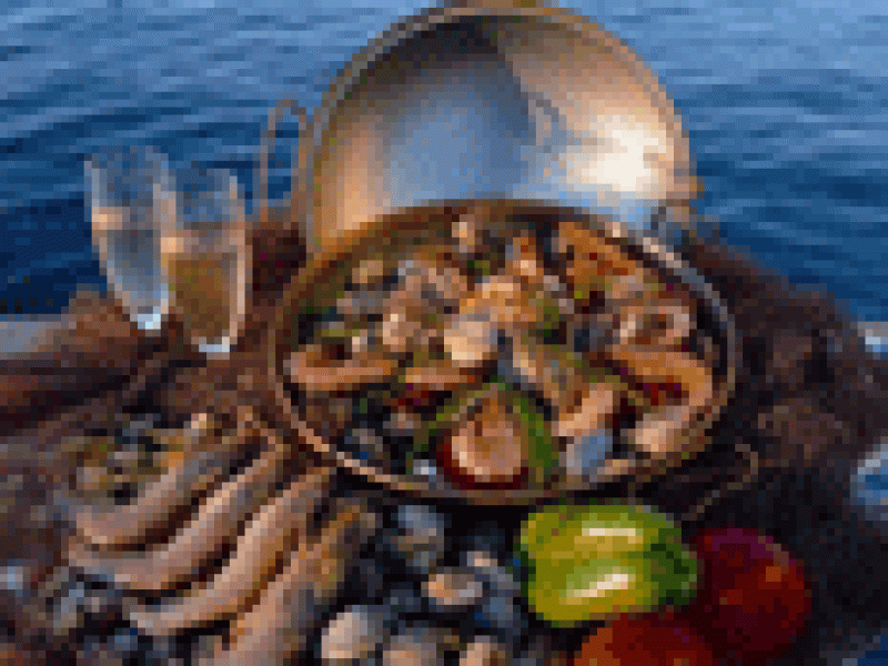 Algarve en verano es obligatorio para los amantes de la buena gastronomía