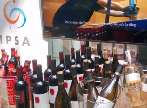 IPSA Inversiones Pucara S.A 