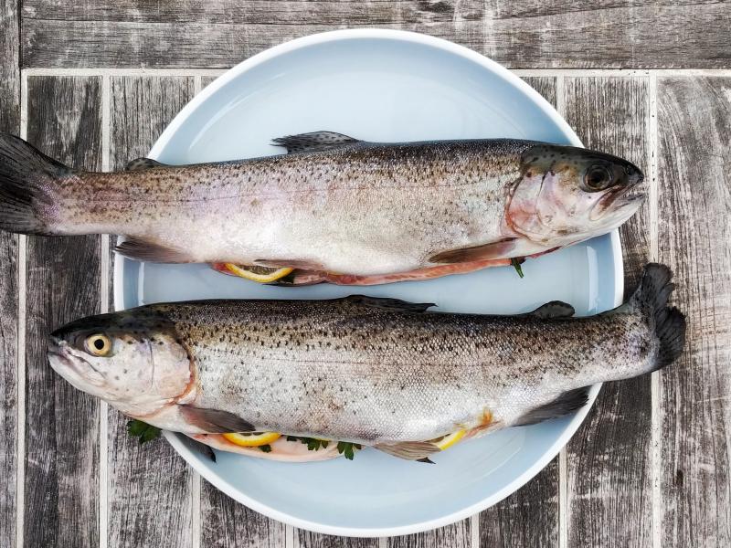 pescado 