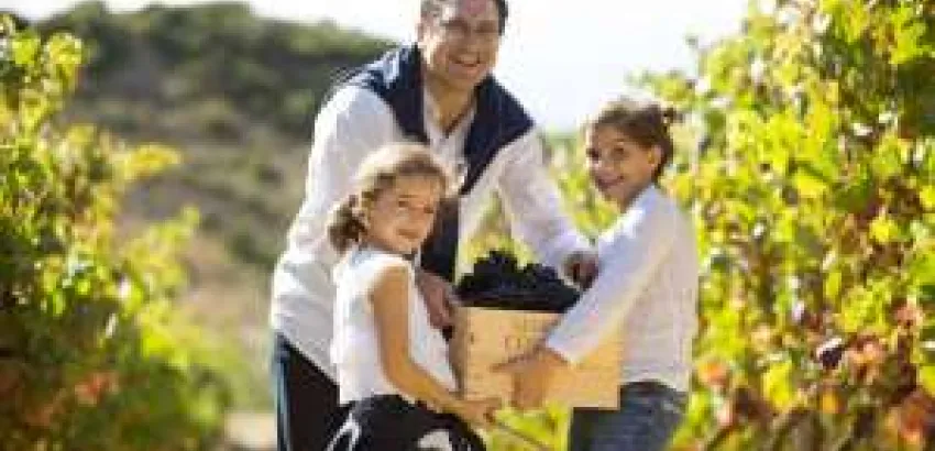 Villa-Lucía organiza varias actividades en torno a la vendimia en Rioja Alavaesa Villa-Lucía organiza varias actividades en torno a la vendimia en Rioja Alavaesa