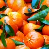 naranja, clementina y mandarina