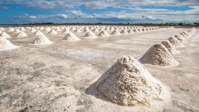 Producción de sal mairna en salinas naturales
