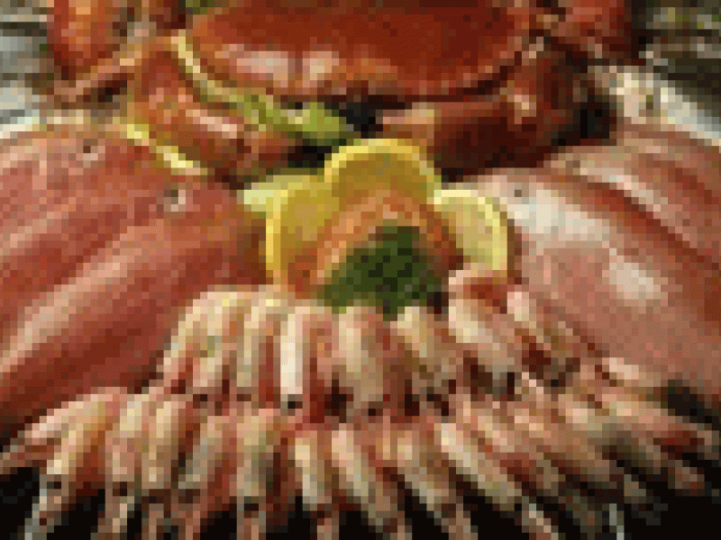 Convocan a concurso Anzuelo de Oro de recetas de pescado