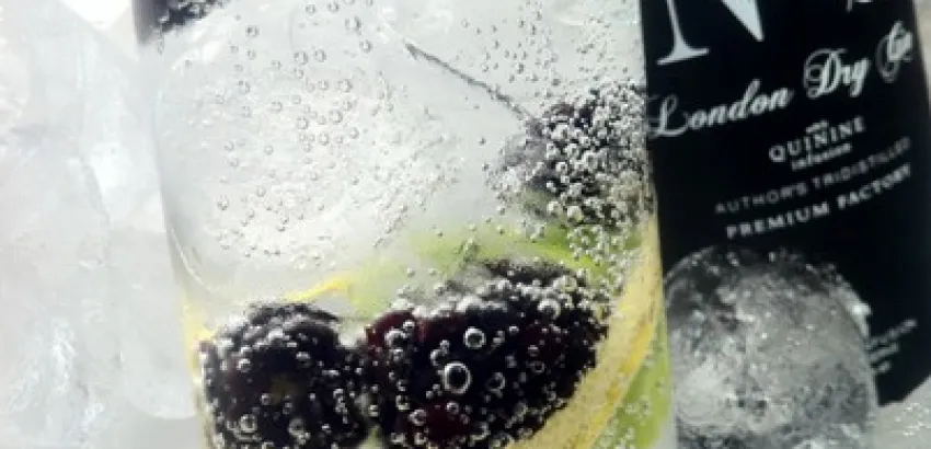Siete trucos y 2 recetas para un gin tonic perfecto Siete trucos y 2 recetas para un gin tonic perfecto