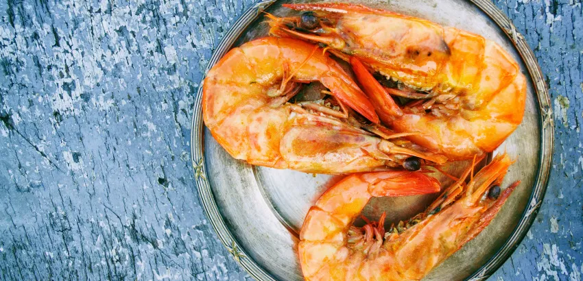 gamba