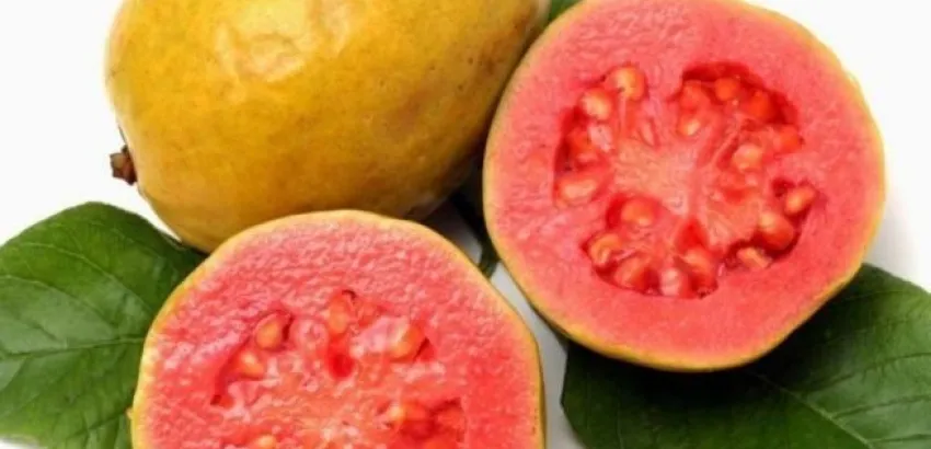 Guayaba Guayaba