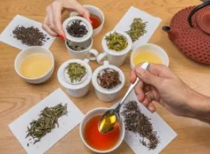  Todos los secretos del universo del TÉ en las Catas de Tekoe