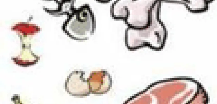 El 34 por ciento de los desechos alimenticios que se van a la basura son reutilizables El 34 por ciento de los desechos alimenticios que se van a la basura son reutilizables