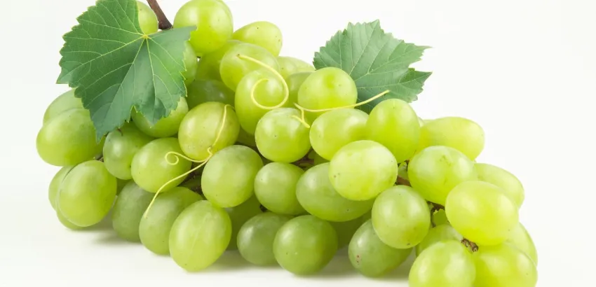 Uva moscatel