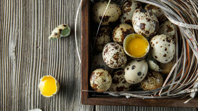 Huevos de codorniz moteados en una caja de madera, junto a varios huevos abiertos que muestran su yema amarilla.