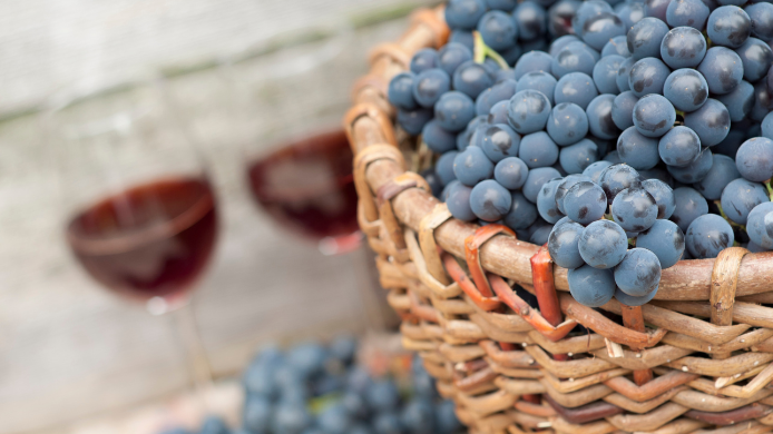 Cesta de uvas tintas junto a copas de vino, imagen para ilustrar el coupage y las mezclas de vino