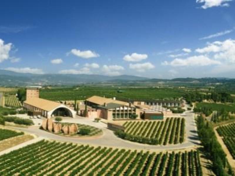 Juvé & Camps presenta en Madrid Fusión su conversión a ecológico con una cata de grandes cavas