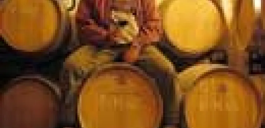 Vins Miquel Gelabert recibe Premio Especial de Iberwine Vins Miquel Gelabert recibe Premio Especial de Iberwine
