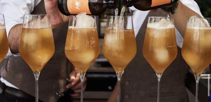 kombucha kombucha