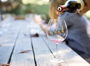 vinos