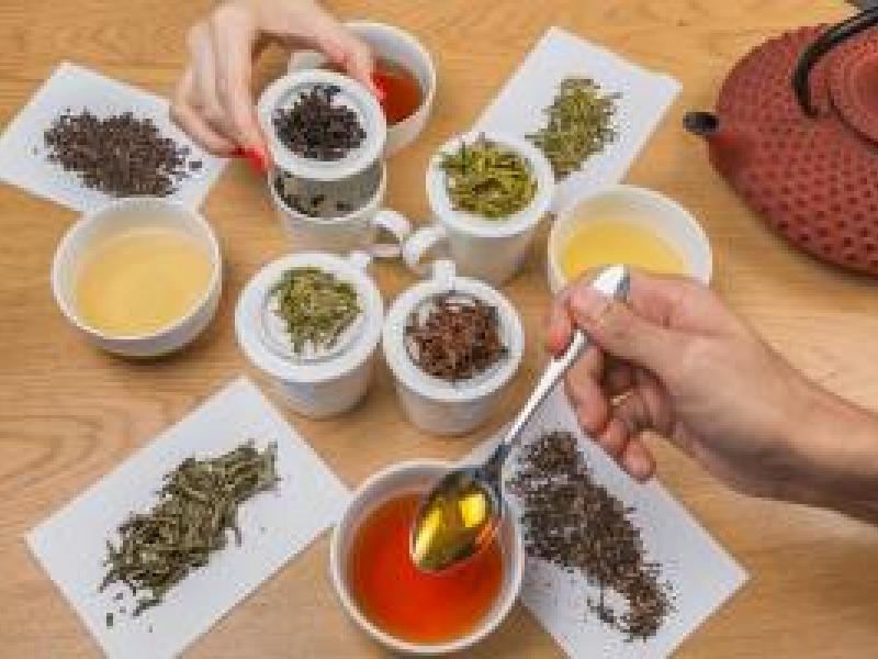  Todos los secretos del universo del TÉ en las Catas de Tekoe
