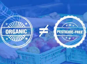 Confusión a nivel mundial sobre la información de las etiquetas alimentarias
