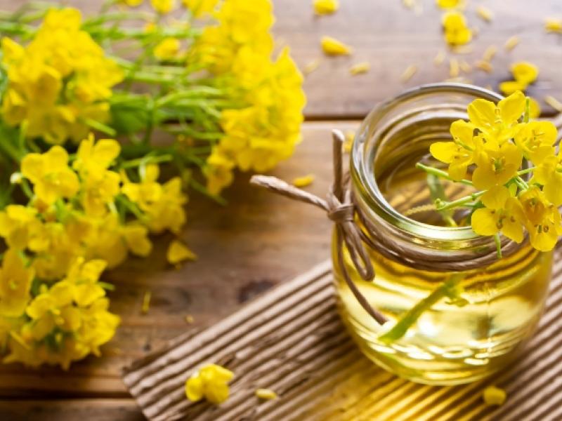 aceite de colza