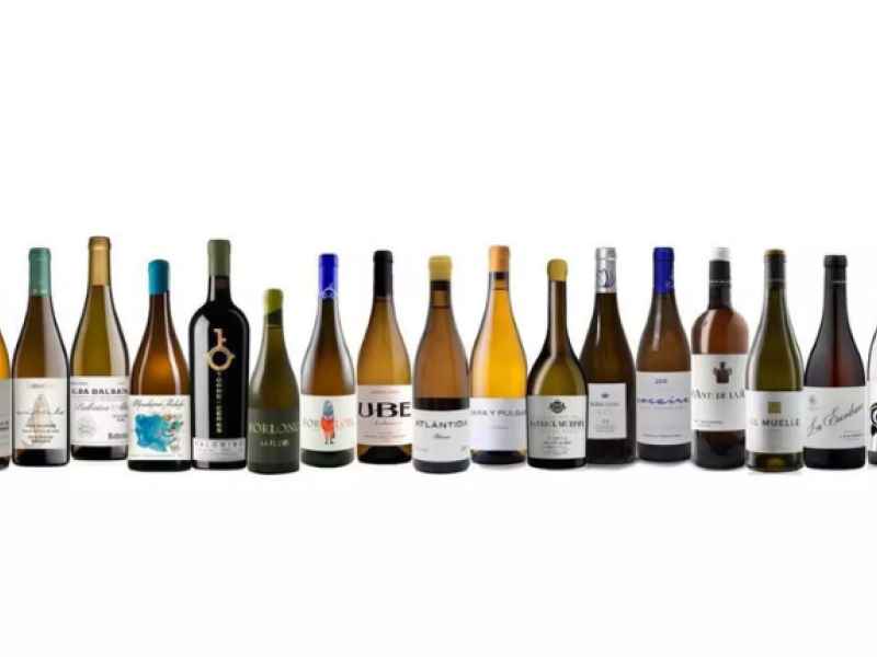 vinos de pasto Jerez