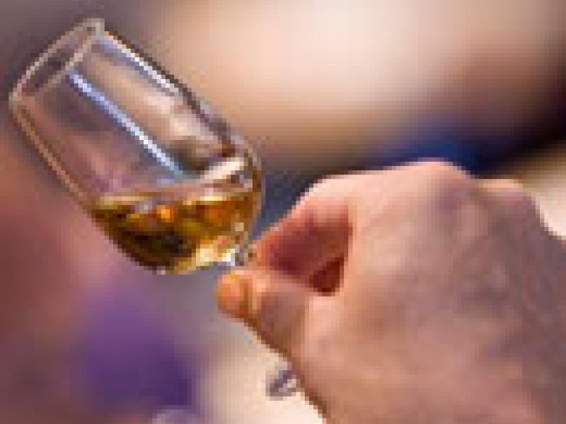 Whisky Festival 2009, desfile de placeres