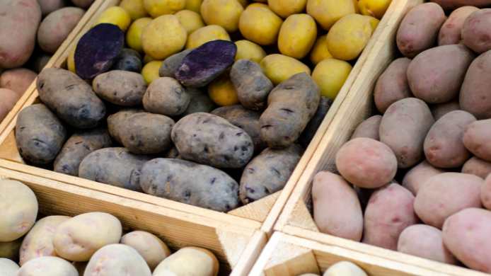 Diferentes variedades de patata expuestas para mostrar los tipos de patata que mejor funcionan según cada receta