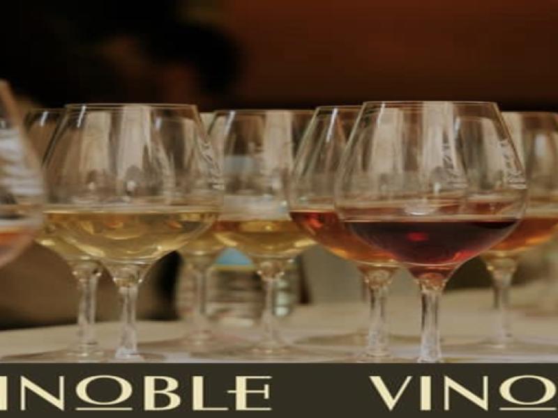 Vinoble 