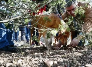 Un gran encuentro amparado por Viñas del Vero