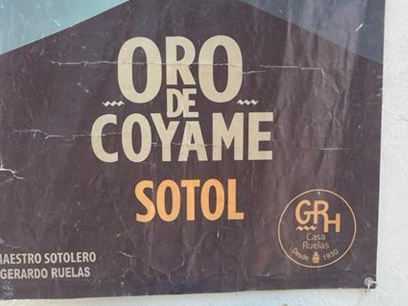 sotol
