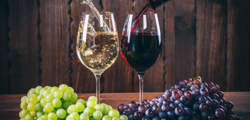 Beber mejor, no más: la nueva cultura del vino