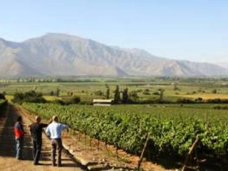 Enoturismo en Chile, las Rutas del Vino