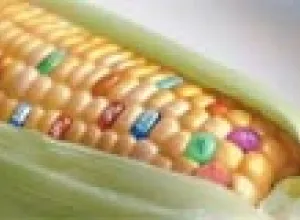 Los alimentos transgénicos siguen siendo rechazados por los consumidores