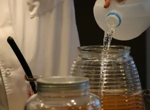 kombucha