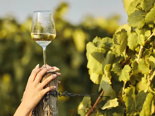 Copa de vino moscatel en cata internacional Muscats du Monde