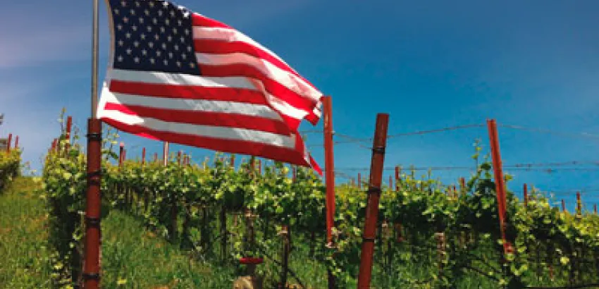 Vinos de Estados Unidos: el placer creciente Vinos de Estados Unidos: el placer creciente