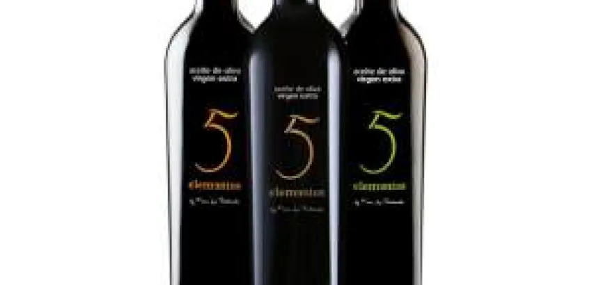 Activa participación AOVE “5 ELEMENTOS” que protagoniza varias de las acciones más destacadas del Salón Activa participación AOVE “5 ELEMENTOS” que protagoniza varias de las acciones más destacadas del Salón