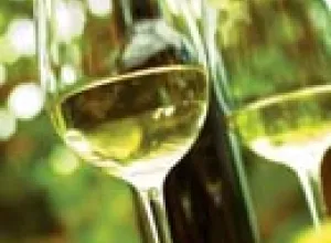 México: Producción nacional de vino debe llegar a 23 millones de cajas en 2025