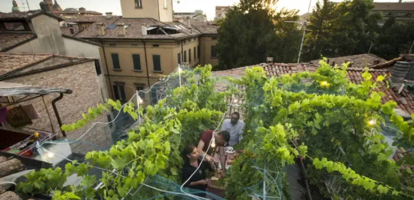 El viñedo más pequeño del mundo: arte y vino en una azotea de Reggio Emilia Via Mari 10
