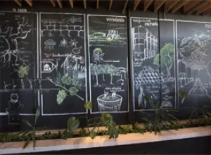  Una navidad diferente desde el corazón de la ruta del vino de rueda 